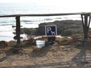 Prise sur une plage au Portugal à Faro