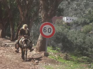 A Immouzer au Maroc... je ne crois pas que les ânes puissent dépasser la vitesse autorisée, excusez du flou mais c'est une photo prise au passage !