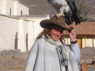 Lors d'un voyage dans le sud du Pérou, à Arequipa, un condor est allégrement venu se poser sur le chapeau de mon amie! Et il ne voulait plus décoller...