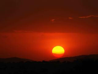 Reflets du soleil couchant dans la brousse tanzanienne....