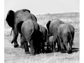 http://www.fou-de-voyage.com/photo/concours/20110500981-en-famille.jpg