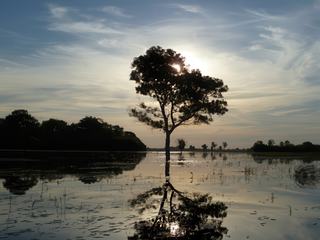 photo Paysage atypique de Oubea