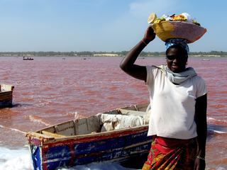 Un lac...ROSE, n'est-ce pas atypique ??
Phénomène unique au monde, et autour des paludiers, dont le travail est d'une extrême pénibilité.
Sénégal - Janvier 2008