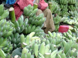 photo Les marchés du monde de willou