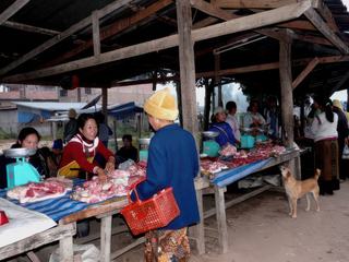 Au Laos, le marché local de Hongsa.
Médor fait, lui aussi, son marché et se taperait un p'tit morceau...