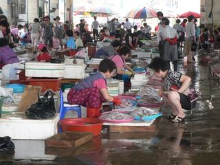 photo Les marchés du monde de zazamau
