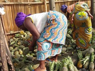 photo Les marchés du monde de Ze Voyageur