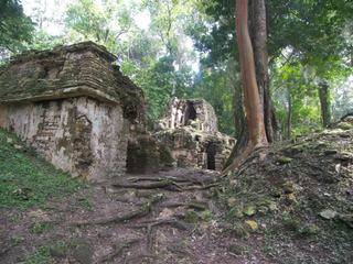 Site de Yaxchilian situé à l'est de l'état du Chiapas. Le fleuve qui y conduit (L'usumacinta) fait office de frontière entre le Mexique et le Guatemala.