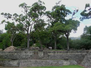 En 2006, nous avons eu le privilège de découvrir les trésors mayas de Copan, quasiment seuls touristes sur le site qui était en cours de réhabilitation. 
Comme on peut le constater par les tas de pierres sur le côté, les archéologues (les 3 personnages) ont encore du travail...
Le site maya de Copan, situé en pleine jungle, est le plus impressionnant d'Amérique Centrale.
Moins connu des touristes, il est pourtant l'un des sites majeurs.
Cette ville, qui a connu son apogée au VIIe siècle ap. J.-C., a été abandonnée aux environs du Xe siècle.