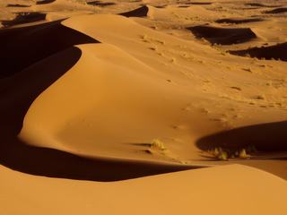 Maroc, Sahara, à l'heure du coucher de soleil