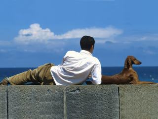 Une pause partagée, image réalisée sur les remparts de St-Malo