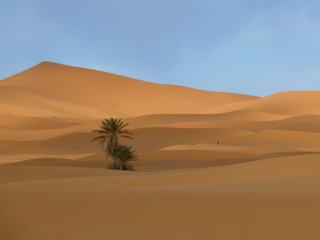 Désert de Merzouga, l'Erg Chebbi, Maroc, février 2012. Ce morceau de désert offre à toutes les heures de la journée un spectacle différent, la couleur du sable changeant selon l'inclinaison du soleil ou le passage des nuages. Je ne m'en lasse pas ;o)