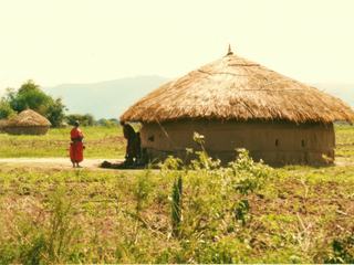 Habitation traditionnelle chez les Masaïs. Ce sont les femmes uniquement qui construisent les maisons. Photo prise dans le Serengeti en Tanzanie.