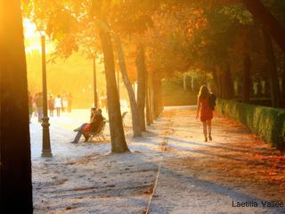 L'automne au parc du Retiro - Madrid (Facebook: Laetitia Vallée Photo)
