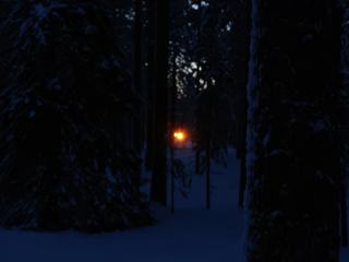 Il est 14h00 et le soleil se couche dans cette forêt lapone, car nous sommes en janvier, près du cercle polaire arctique en Finlande. A cette période ses rayons n'apparaissent que 4 heures par jours. La température avoisine les -20°C.