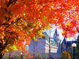 Promenade dans un parc à Ottawa.
(Canada)