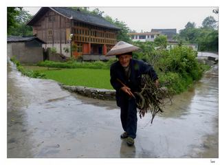 Après une averse diluvienne, une jolie rencontre dans le village miao de Kala (Province du Guizhou, Chine du Sud).
Une contrée où il n’y a pas 3 arpents de terre plate, 3 jours sans pluie ni 3 sous dans la poche de ses habitants comme le dit justement ce proverbe chinois.