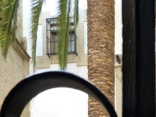 En Espagne, les patios (jardins intérieurs à ciel ouvert) s’inspirent des traditions architecturales de la Méditerranée et constituent un intérêt touristique majeur, surtout en Andalousie, où ils sont particulièrement nombreux et soignés.
Ces patios sont dallés la plupart du temps et disposent d’une fontaine centrale. Les arcades longeant l’ensemble des murs permettent l’utilisation du patio même en temps de pluie.
Le centre du patio, c’est-à-dire la cour intérieure, dispose souvent de fleurs et de plantes.
Faisant contraste avec les murs d’un blanc immaculé, ce petit jardin est particulièrement reposant.
Celui-ci se trouve dans le quartier de la Judéria à Cordoue (Cordoba), quartier classé Patrimoine mondial de l’UNESCO.
