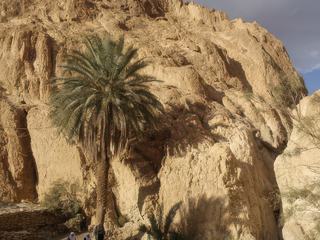 TUNISIE - Décembre 2011. Près de Tamerza, une source a crée une oasis au milieu des montagnes et j'ai eu la chance de remonter le court d'eau jusqu'à ce petit lac réservoir où des personnes étaient assises là tranquillement. Résultat un cliché "carte postale" dans mon appareil ;)

Le choix était compliqué mais cette photo est une "coup de coeur" de mon voyage tunisien...