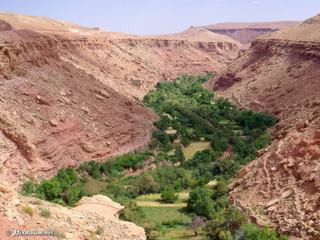 Fond de vallée verdoyant le long de la route des Kasbahs dans l'Atlas Marocain.
