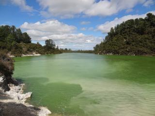 Parc géothermal de Rotorua en Nouvelle-Zélande : de nombreux geysers, des sources d'eau chaude, des champs de fumerolles et des étendues d'eau présentant une palette de coloris très variés dont celle-ci, de couleur verte!