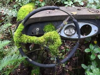 Une voiture abandonnée et partiellement recouverte de mousse, sur l'île de Galiano (qui se trouve au sud-est de Vancouver). C'est une île très allongée et étroite, où dans les année 60-70 une bande de hippies s'y est installé. Aujourd'hui la pointe nord de l'île est une réserve indienne et le reste y est peu habité. La majorité sont encore les premiers propriétaires des maisons-cabanes construites dans ces années-là, voir les seconds. Il y a peu de commerces et ils sont tous concentré dans le sud de l'île (là où arrive le ferry). Septembre 2013
