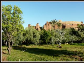 Maroc - avril 2012
Le somptueux Ait Ben Haddou derrière un ilot de verdure