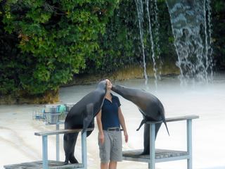 photo Insolite de jojotroter