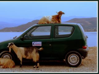 photo Insolite de Blogtrotter