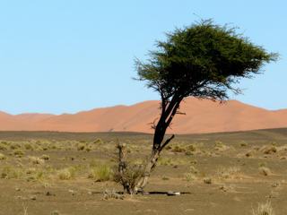Maroc Avril 2012 - Arrivée en vue de l'Erg Chebbi - Merzouga
En ce début d'après midi, les dunes sont roses. Cette couleur changera au fil des heures jusqu'au coucher du soleil