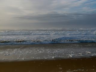 Plage de l'Atlantique _ Sable fin chargé d’embruns à l’assaut des forêts de pins._                                                        
Le vent déverse incessamment un parfum iodé sur le rivage.                                                          -J'ai dans l'âme une odeur marine.
Odeur de large, odeur de plage, odeur de ports,
De vieux ports goudronneux et saurs où la marée
Délaye lentement l'ombre des grands navires...
Odeur des goémons aux capsules dorées,
Chevelures d'ambre, algues que je sens encor
Glisser, vivantes, sur ma bouche et ma mémoire
Roger Dévigne-