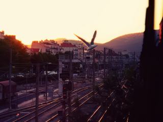 photo Ligne et architecture de Ev
