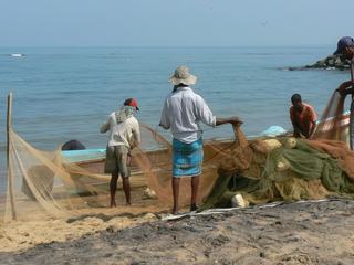 Plage de Negombo au Sri Lanka. Après avoir débarqué leur pêche qui est vendue directement sur le marché situé en bordure de la plage, ces travailleurs replie les filets.