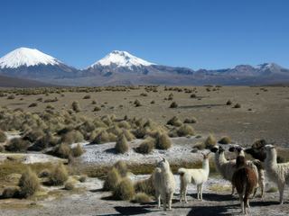 En Bolivie, les volcans Pomerape et Parinacota, respectivement 6222m et 6132 m, sont plus connus sous le nom de volcans Payachatas qui signifie « jumeaux » en langage aymara. Ces deux volcans matérialisent la frontière Chili-Bolivie dans le Parc de Sajama.
