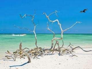 photo Paysages du monde de JCl ORTIZ