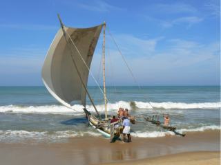 Mise à l'eau d'un bateau traditionnel de pêche sur la plage de Negombo au Sri Lanka.
Dans la langue cinghalaise on le nomme ORUVA. Il s'agit d'une belle pirogue à balanciers avec des voiles immenses de couleur ocre ou blanche et c'est unique à Negombo.
L'ORUVA est l'ancêtre du catamaran et ce mot provient de kattuamaran issu de la langue tamoule (katta: lien et maram: bois).
Ce jour là, les pêcheurs avaient attrapés de gros poissons (touristes) pour une balade en mer et on leur souhaite bon vent.
