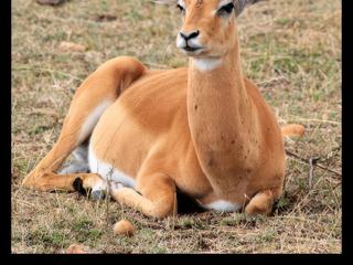photo Faire une pause ou prendre la pose de sandrine