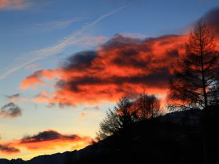 photo Voyage flamboyant de travelearth