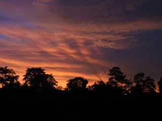 le soleil se couche sur la jungle du Teman Negara national park, Malaisie. Ne manquent que les cris...
Ma modeste participation à ce concours, alors que je ne suis pas venu sur le site depuis des lustres !