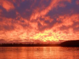 photo Voyage flamboyant de annick74