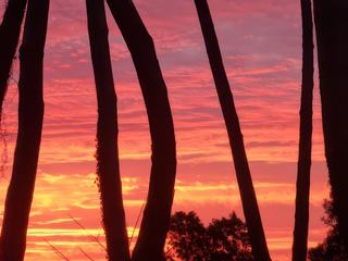 photo Voyage flamboyant de James