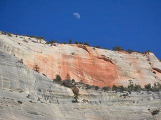 La lune flirtant avec le jour, au dessus du magnifique  et coloré Zion National Park (Utah - États-Unis).