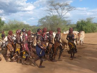 Ethiopie, vallée de Lomo.
Chez les Hamer, l'Oukouli est une cérémonie d'initiation qui accompagne le passage d'un adolescent à l'âge adulte. Le jeune homme, nu, doit franchir quatre fois de suite, un groupe de zébus disposés flancs contre flancs, sans tomber. S'il échoue, il sera alors la risée du village. Cependant un second essai pourra lui être accordé.
Pour en savoir plus je vous invite à lire mon carnet de décembre 2013.
La photo originale étant en 16/9 il se peut que les bords soient un peu rognés.