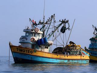 Bateaux de pêcheurs amarrés près du port de Paracas au Pérou. On anticipe la proximité des Iles Ballestas, les Galapagos du Pérou, par la présence de nombreux oiseaux utilisant comme perchoir les bateaux stationnaires.