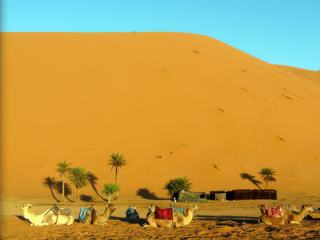 Pour apprécier le lever du soleil, les plus courageux sont montés en haut de la dune, les moins courageux se sont arrêté au milieu, et moi j'suis pas du matin alors au niveau des dromadaires c'était bien !! -(Erg Chebbi - Merzouga Maroc)