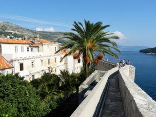 Croatie. Si vous passez par là, ne pas rater le tour des remparts de la citadelle de Dubrovnik qui permet de découvrir ci et là, des espaces de nature préservés.