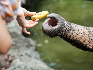 photo Insolite de travelearth