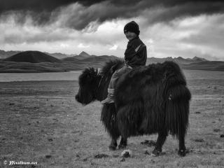 photo Insolite de pixalbum