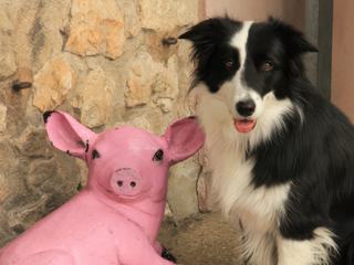 photo Insolite de VELLA