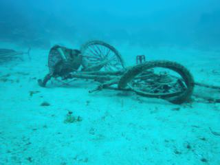 Scuba Diving UTILA honduras <3